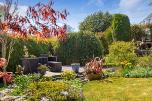 Photo 31- click for photo gallery